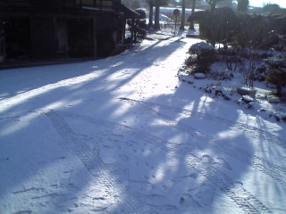 雪景色